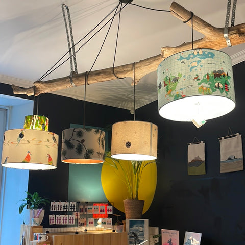 36. Back Of Shop - Hanging Lampshades