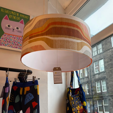 51 -  Hanging Lampshades (4) Front of Shop